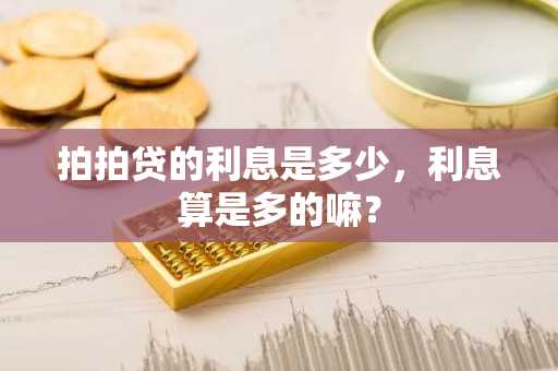 拍拍贷的利息是多少，利息算是多的嘛？