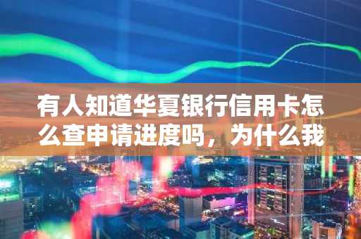 有人知道华夏银行信用卡怎么查申请进度吗，为什么我查不到呢？
