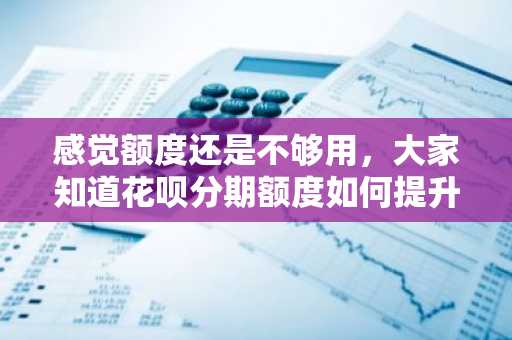 感觉额度还是不够用，大家知道花呗分期额度如何提升吗？