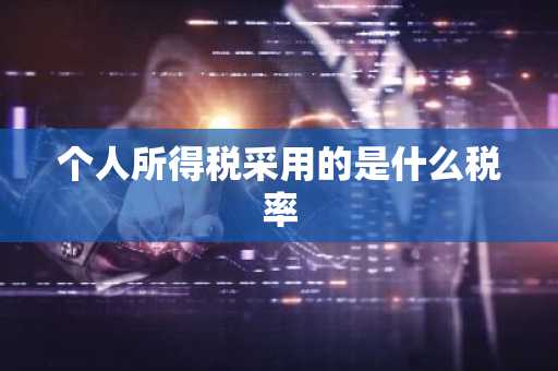 个人所得税采用的是什么税率