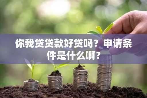 你我贷贷款好贷吗？申请条件是什么啊？