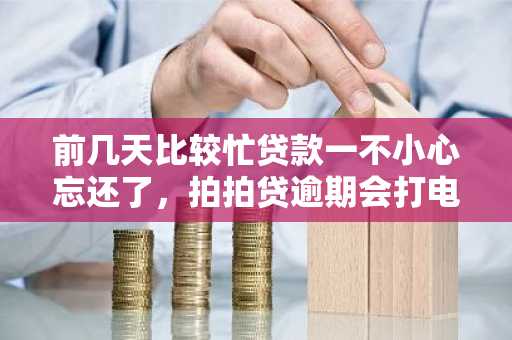 前几天比较忙贷款一不小心忘还了，拍拍贷逾期会打电话吗