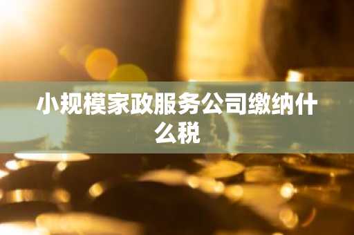 小规模家政服务公司缴纳什么税