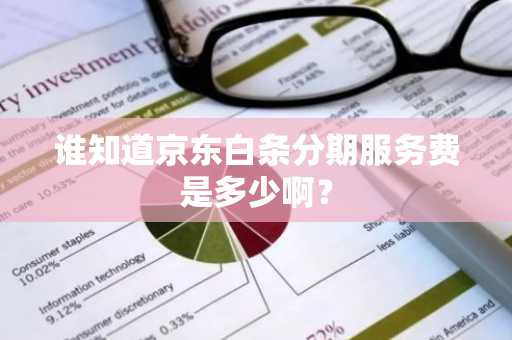 谁知道京东白条分期服务费是多少啊？