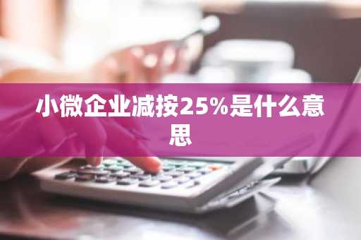 小微企业减按25%是什么意思