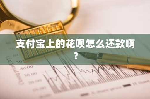 支付宝上的花呗怎么还款啊？