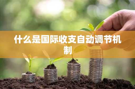什么是国际收支自动调节机制