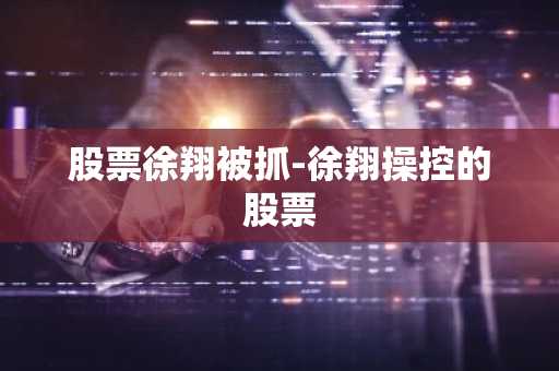 股票徐翔被抓-徐翔操控的股票
