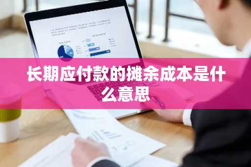 长期应付款的摊余成本是什么意思