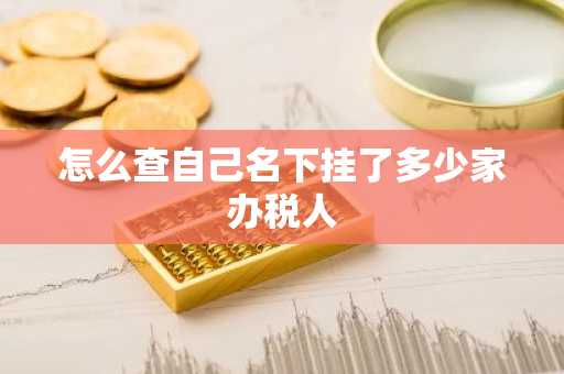 怎么查自己名下挂了多少家办税人