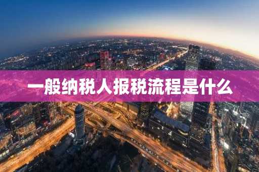一般纳税人报税流程是什么