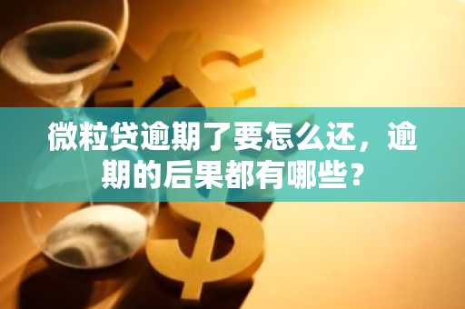 微粒贷逾期了要怎么还，逾期的后果都有哪些？