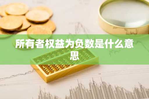所有者权益为负数是什么意思