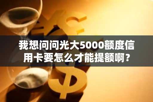 我想问问光大5000额度信用卡要怎么才能提额啊？