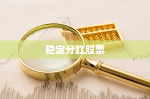 稳定分红股票