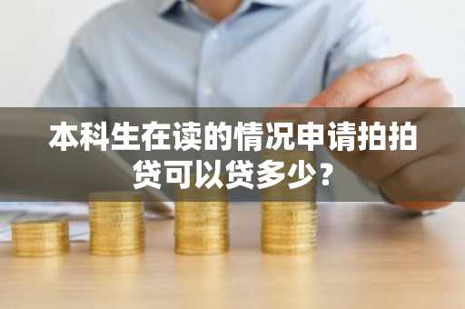本科生在读的情况申请拍拍贷可以贷多少？