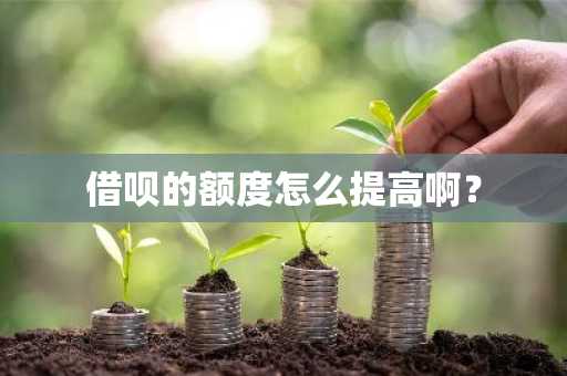 借呗的额度怎么提高啊？
