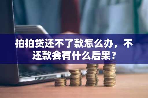 拍拍贷还不了款怎么办，不还款会有什么后果？