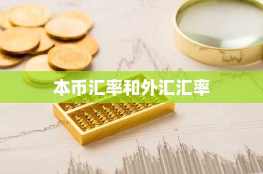 本币汇率和外汇汇率
