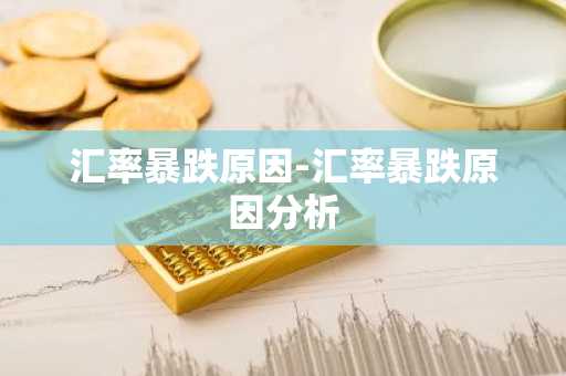 汇率暴跌原因-汇率暴跌原因分析