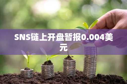 SNS链上开盘暂报0.004美元