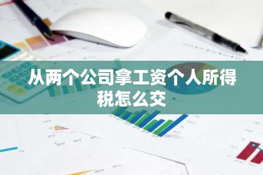 从两个公司拿工资个人所得税怎么交