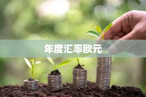 年度汇率欧元