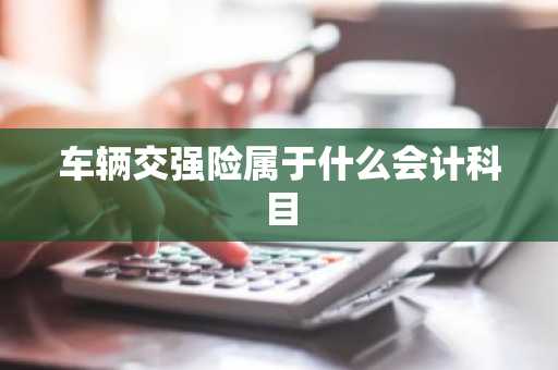 车辆交强险属于什么会计科目