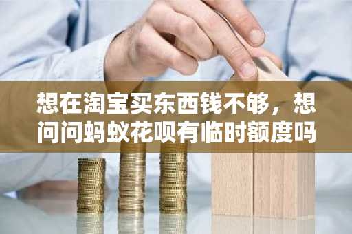 想在淘宝买东西钱不够，想问问蚂蚁花呗有临时额度吗，要怎么提额？