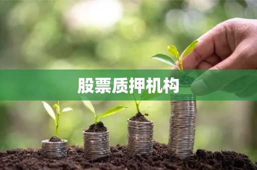 股票质押机构