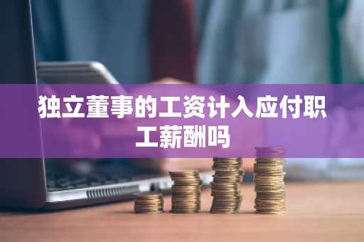 独立董事的工资计入应付职工薪酬吗