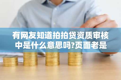 有网友知道拍拍贷资质审核中是什么意思吗?页面老是显示资质审核中很烦。