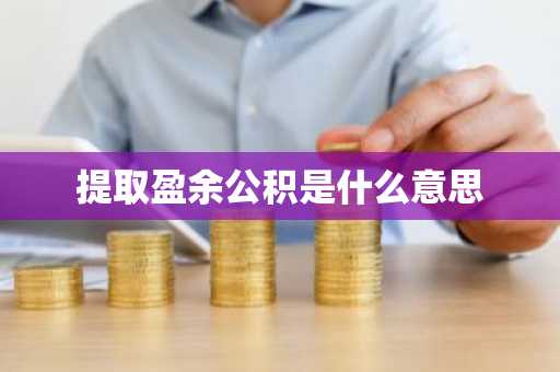 提取盈余公积是什么意思