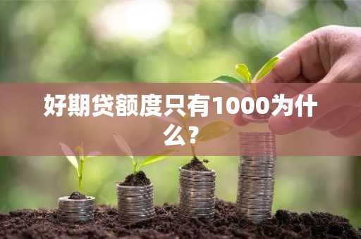 好期贷额度只有1000为什么？