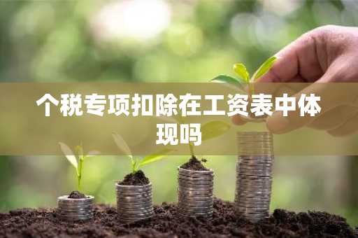 个税专项扣除在工资表中体现吗