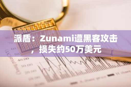 派盾：Zunami遭黑客攻击，损失约50万美元
