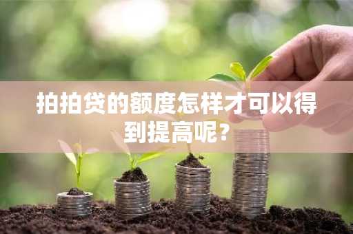拍拍贷的额度怎样才可以得到提高呢？
