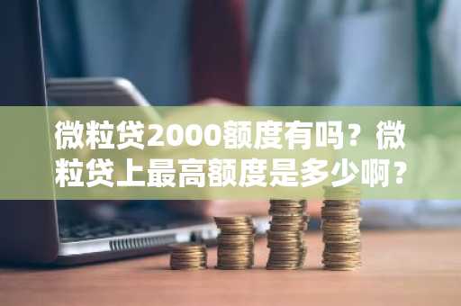 微粒贷2000额度有吗？微粒贷上最高额度是多少啊？