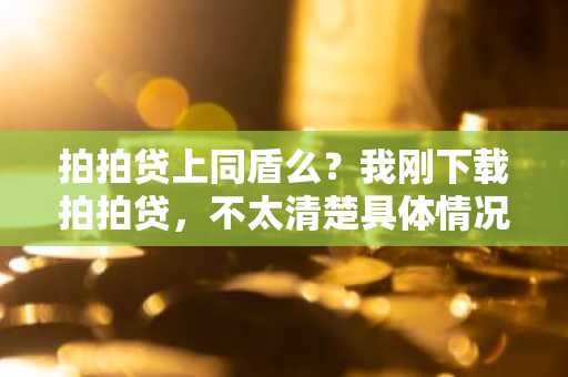 拍拍贷上同盾么？我刚下载拍拍贷，不太清楚具体情况。