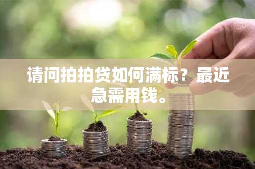 请问拍拍贷如何满标？最近急需用钱。