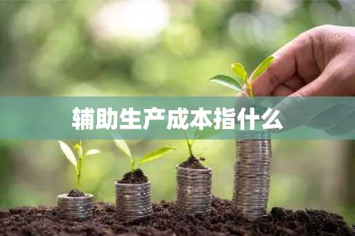 辅助生产成本指什么