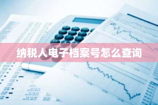 纳税人电子档案号怎么查询