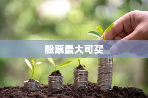 股票最大可买