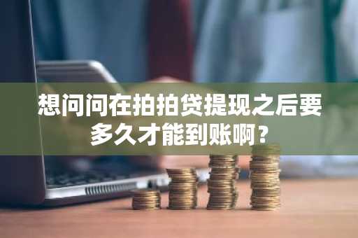 想问问在拍拍贷提现之后要多久才能到账啊？