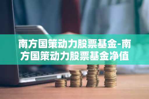 南方国策动力股票基金-南方国策动力股票基金净值
