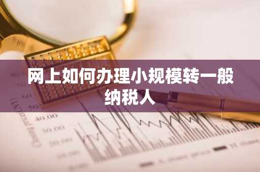网上如何办理小规模转一般纳税人