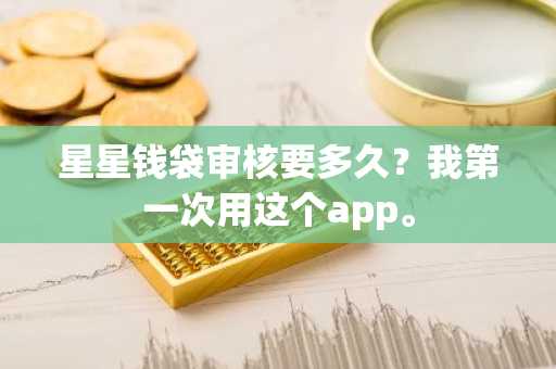 星星钱袋审核要多久？我第一次用这个app。