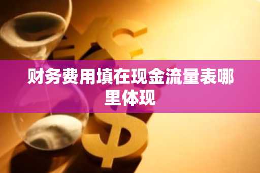财务费用填在现金流量表哪里体现
