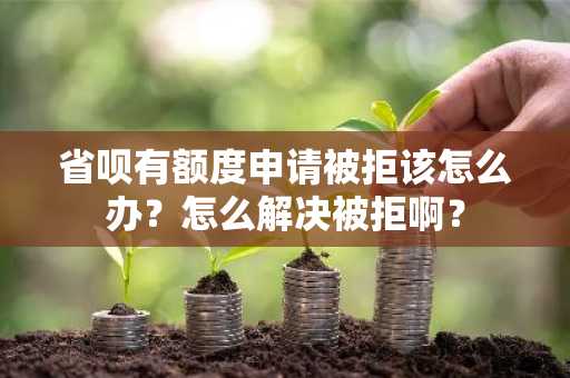 省呗有额度申请被拒该怎么办？怎么解决被拒啊？