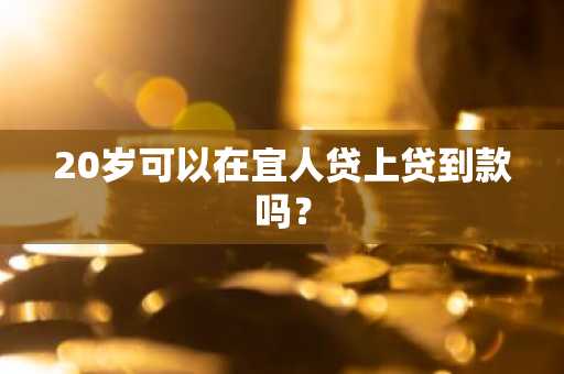 20岁可以在宜人贷上贷到款吗？